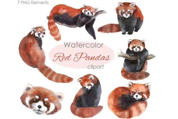 Charming Watercolor Red Panda Clipart for Your Projects