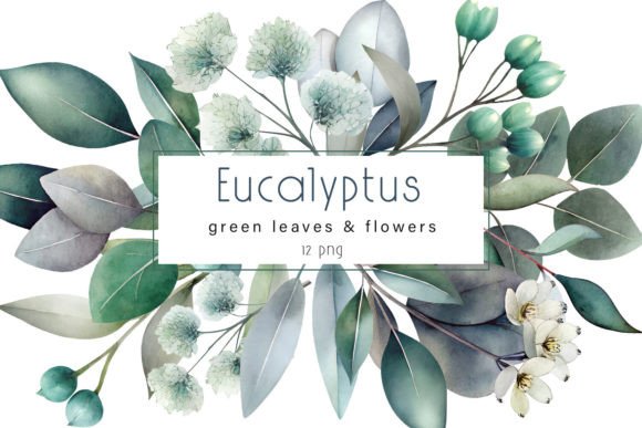 Soft Botanicals: Bringing Organic Elegance to Your Projects