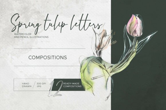 Spring Tulip Letters: Compositions for Romantic Branding