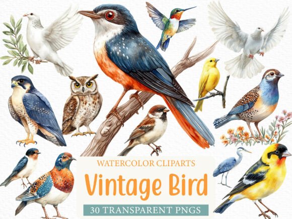 Timeless Elegance: The Watercolor Vintage Bird Clipart Bundle for Designers