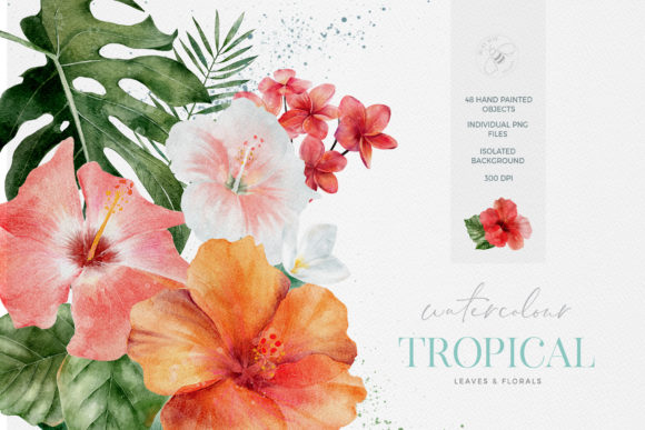 Tropical Watercolor Florals: A Vibrant Design Asset